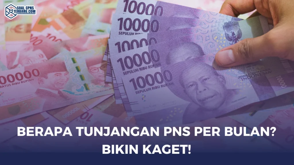 Berapa Tunjangan PNS Per Bulan? Bikin Kaget!