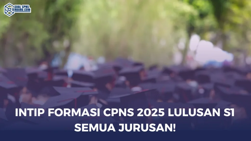 Intip Formasi CPNS 2025 Lulusan S1 Semua Jurusan!