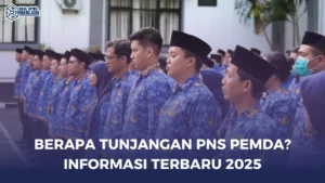 Berapa Tunjangan PNS Pemda? Informasi Terbaru 2025