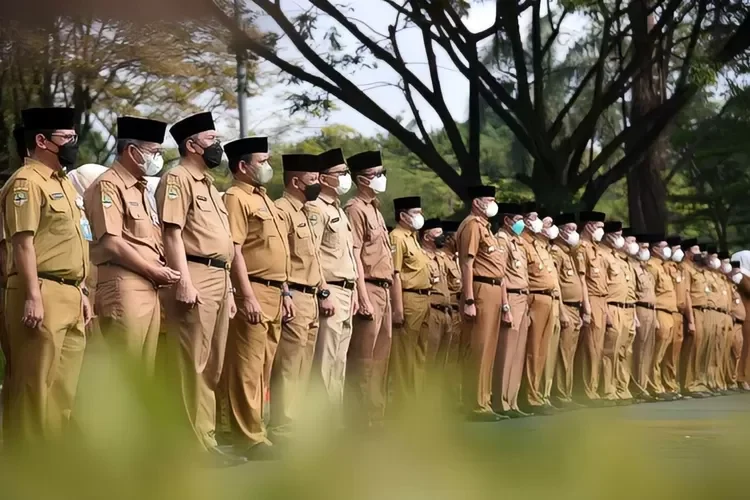Berapa Tunjangan PNS Pemda